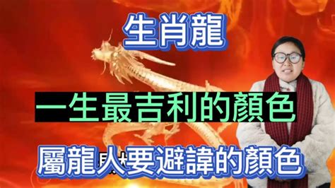 屬龍 適合 的顏色|2025年屬龍的適合顏色及其象徵意義解析